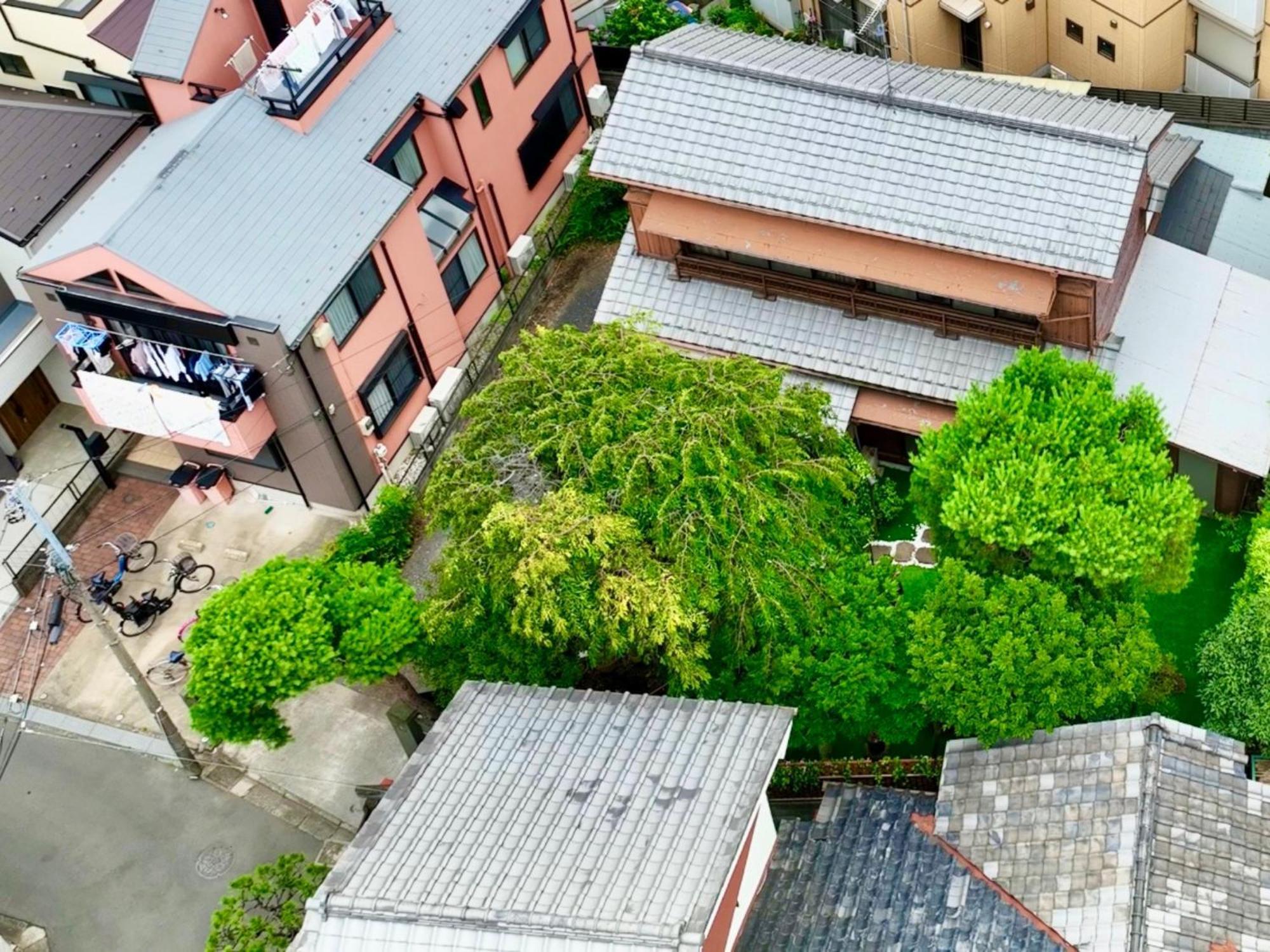 Family Or Business Travel 20 Percent Off丨200 Sqm 丨 14 Min To Shinjuku 丨century-Old Japanese Garden 丨3 Parking Spaces丨4 Bedrooms Tokyo Eksteriør billede